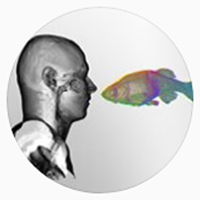 instagram_jsgauthier